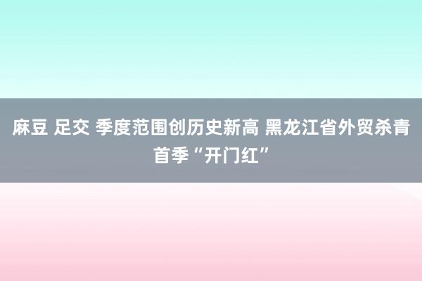 麻豆 足交 季度范围创历史新高 黑龙江省外贸杀青首季“开门红”
