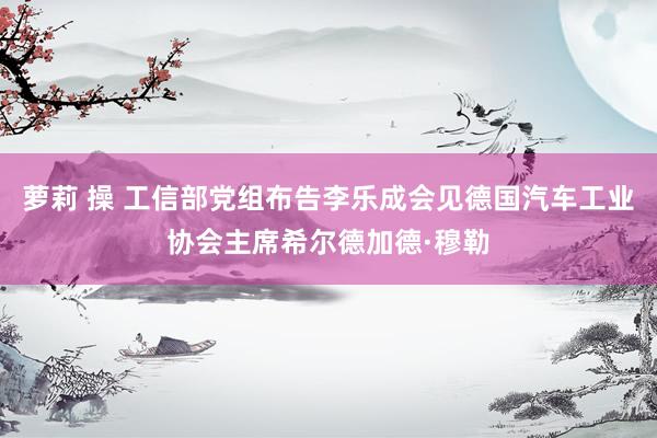 萝莉 操 工信部党组布告李乐成会见德国汽车工业协会主席希尔德加德·穆勒