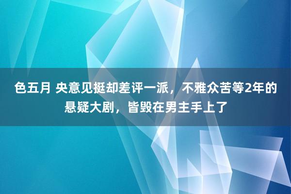 色五月 央意见挺却差评一派，不雅众苦等2年的悬疑大剧，皆毁在男主手上了