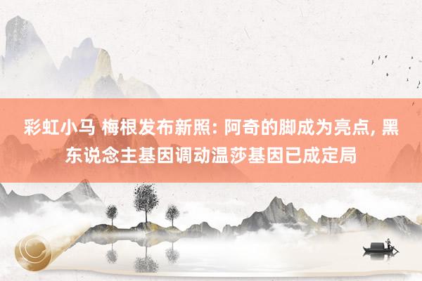 彩虹小马 梅根发布新照: 阿奇的脚成为亮点, 黑东说念主基因调动温莎基因已成定局